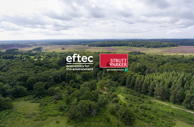 Strutt & Parker in natural capital account collaboration with eftec