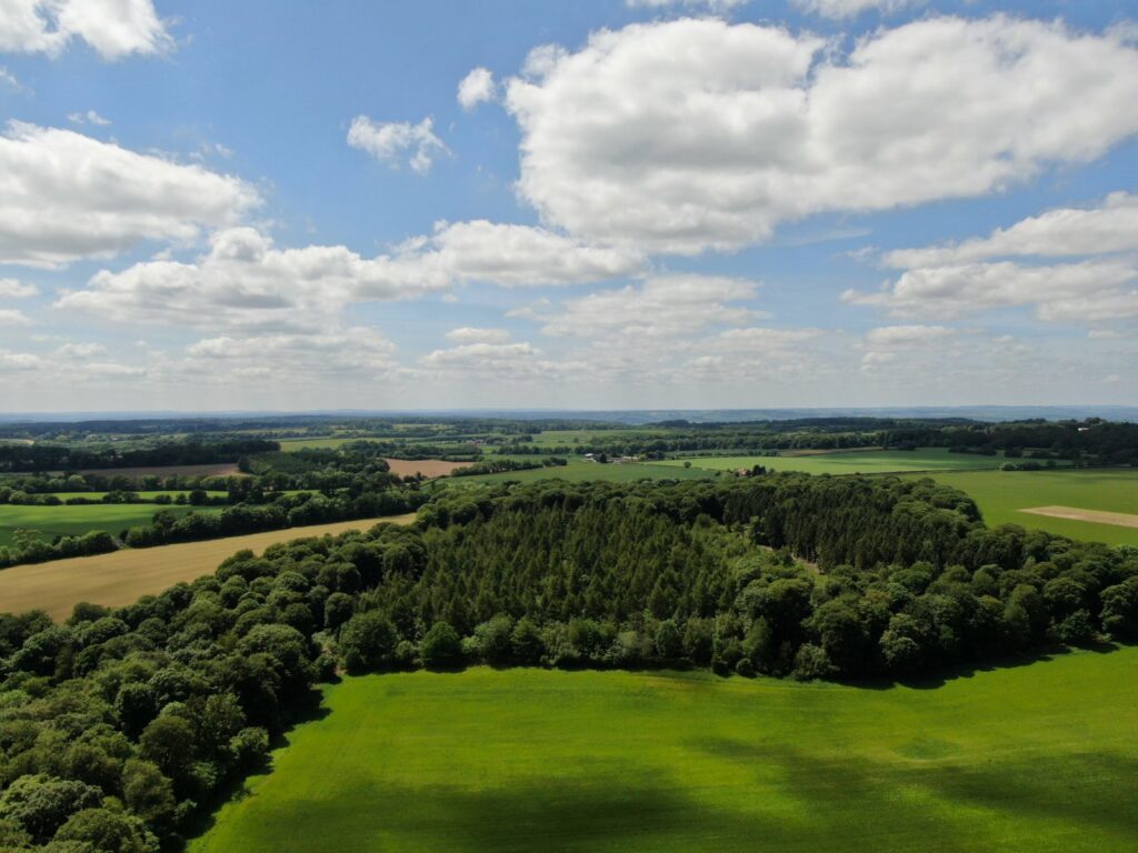 Groveridge Wood
