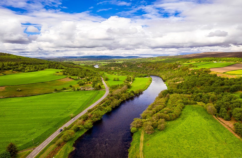 UK Forest Market Report 2021