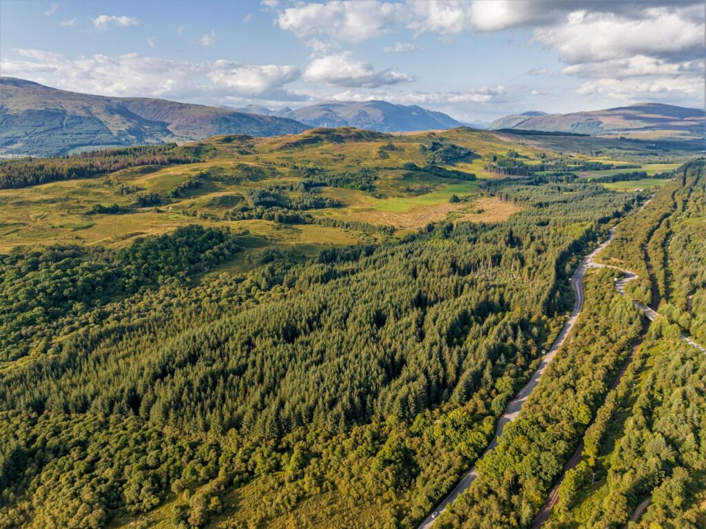 Lot 2 – East Wood