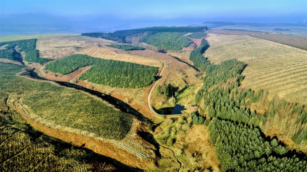 Interim Forest Market Review 2023