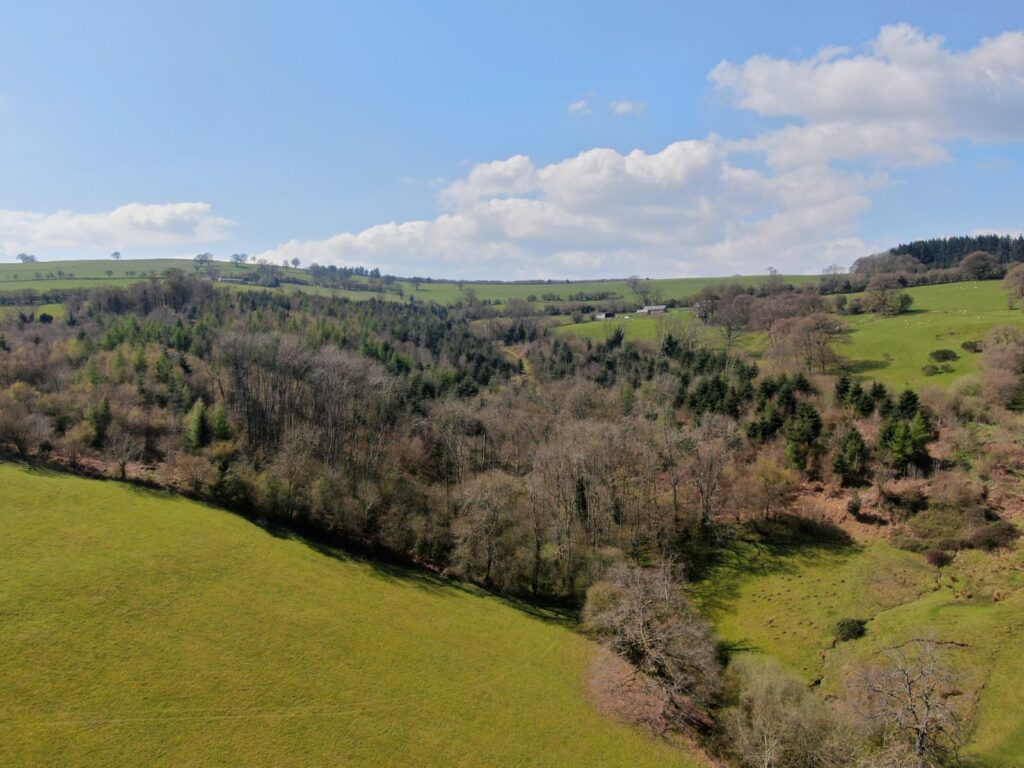 Ferny Bank & Nant Yr Ych