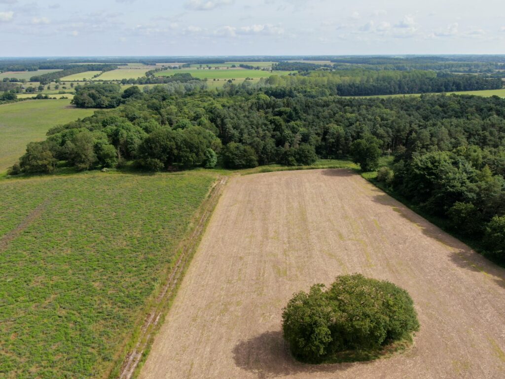 Arable Field