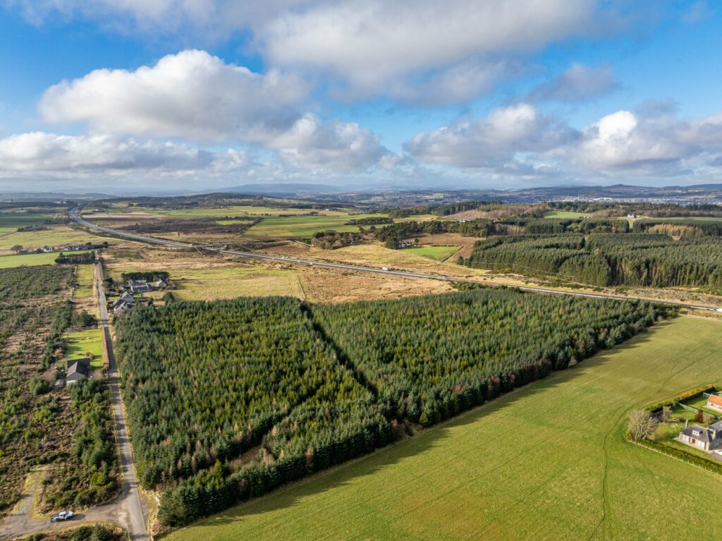 Lot 3 – Duffs Hill Wood