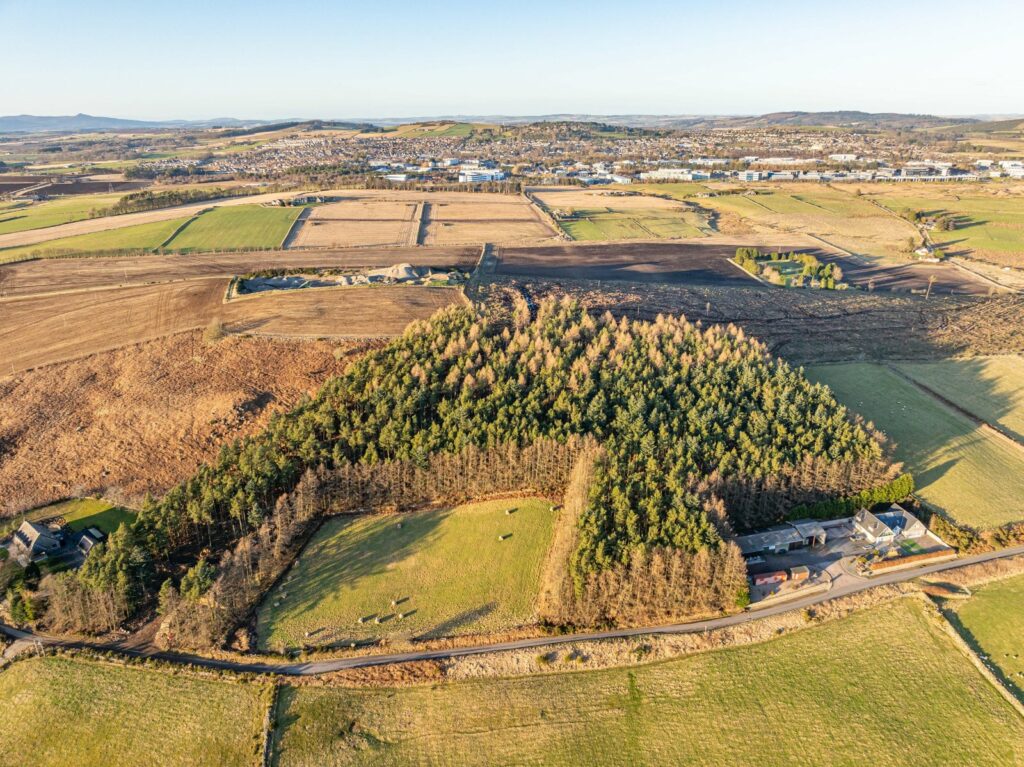 Lot 4 – Wester Ord Wood